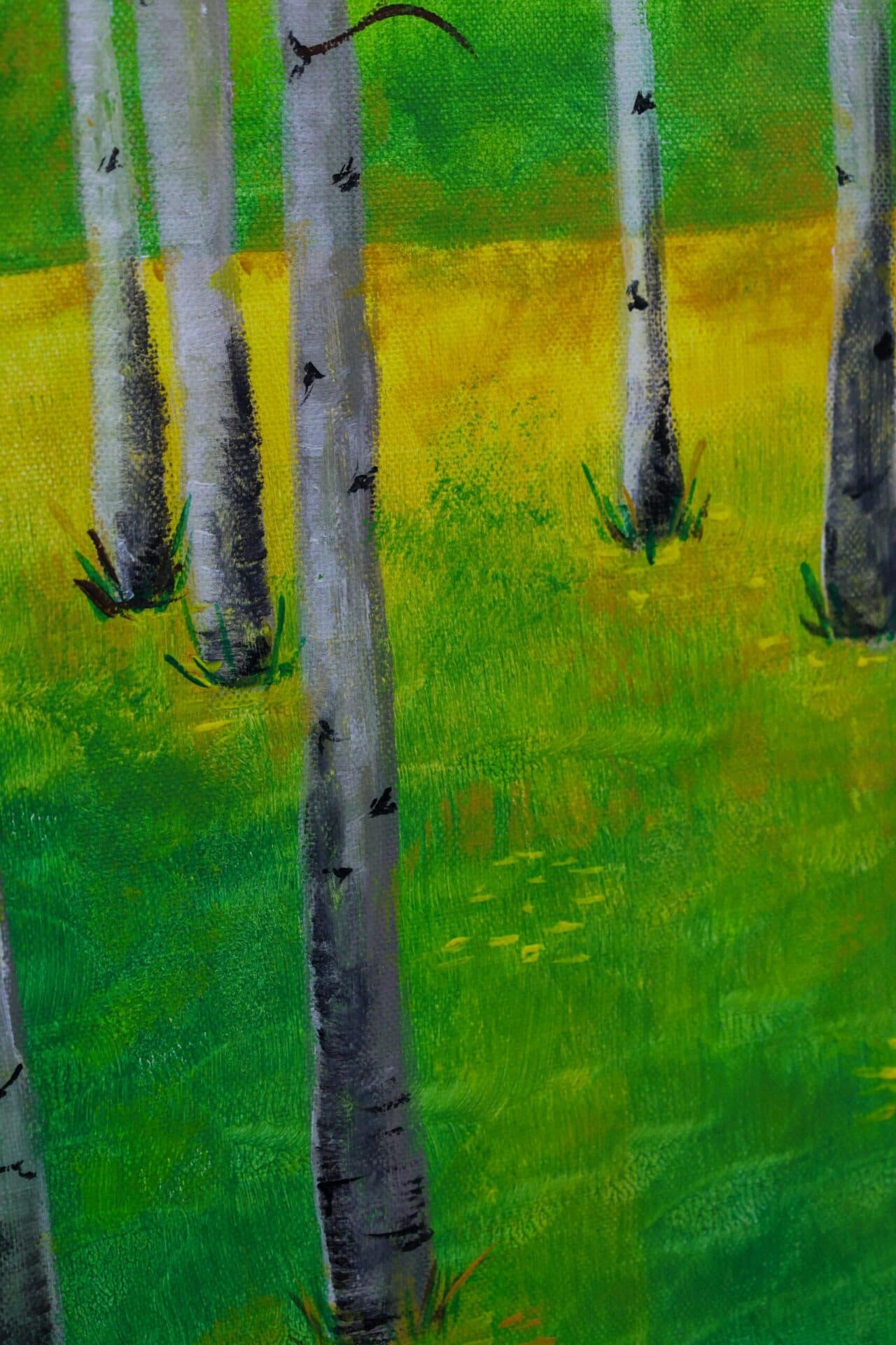 <em>O Abraço</em> da Natureza - Image 5