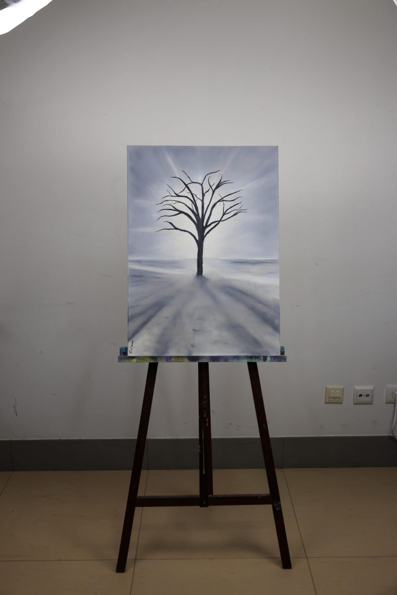 <em>Harmonia</em> SUBTIL - Image 2