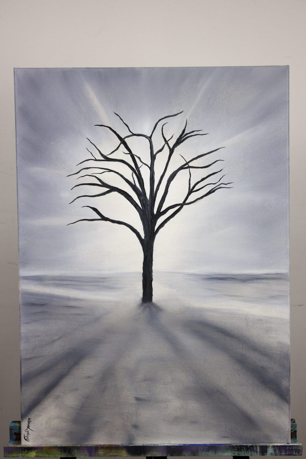 <em>Harmonia</em> SUBTIL - Image 4