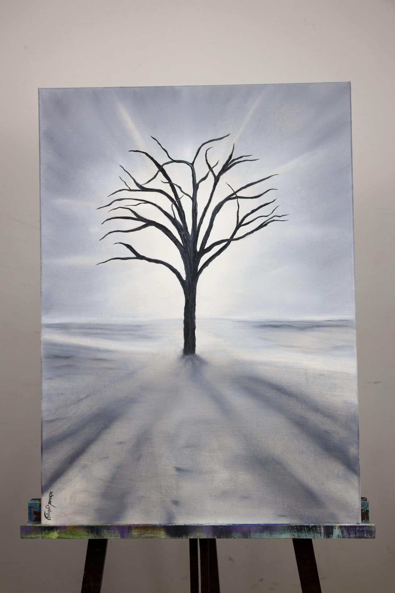 <em>Harmonia</em> SUBTIL - Image 6