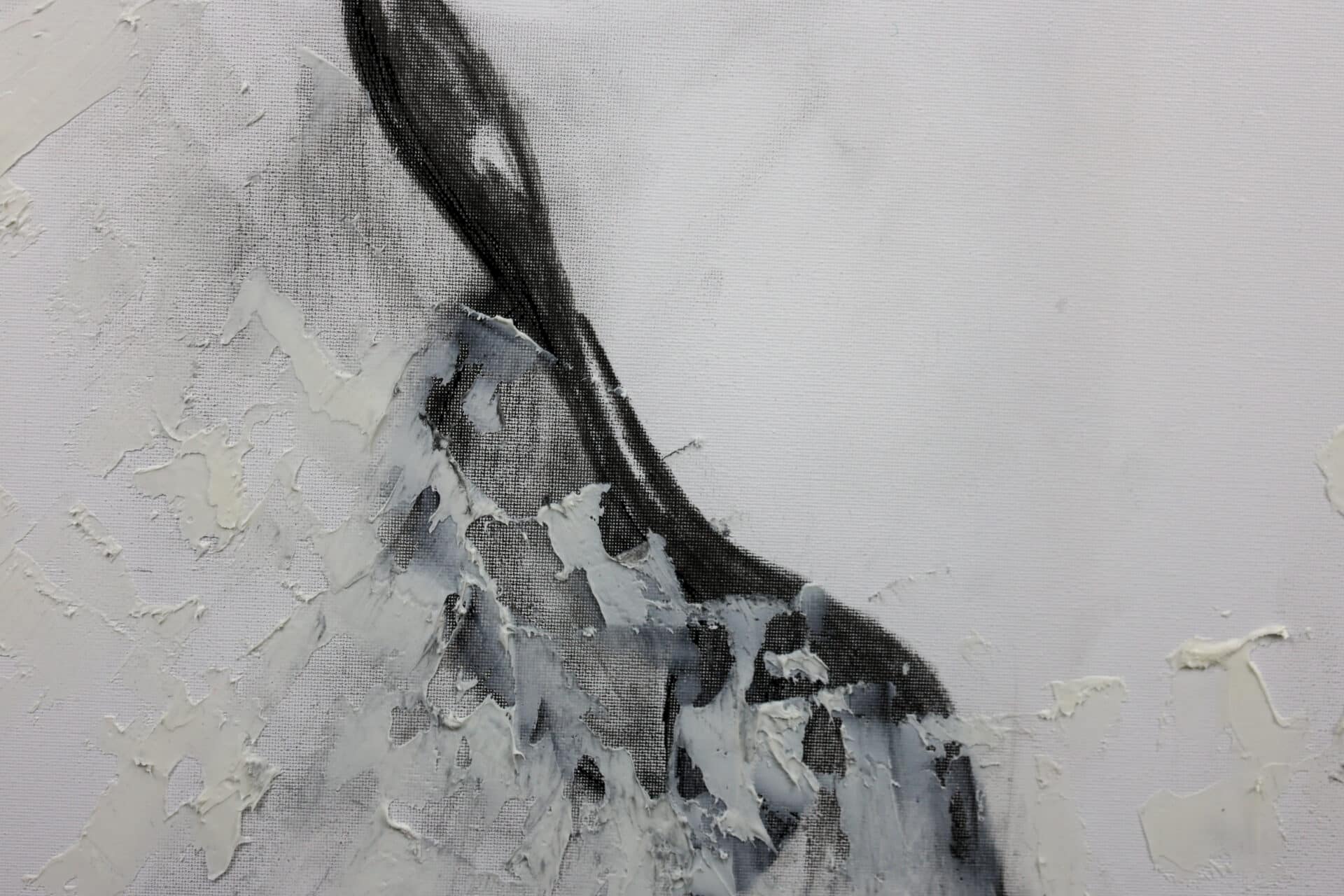 <em>Entre Pele</em> e Alma - Image 3