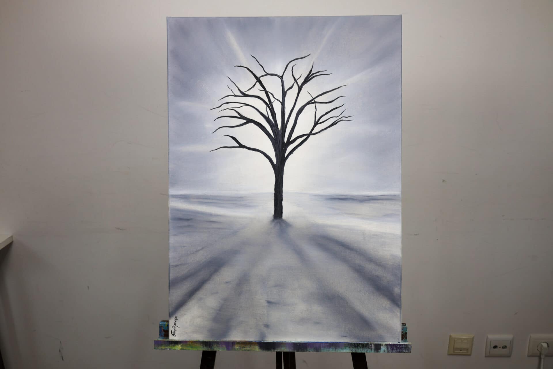 <em>Harmonia</em> SUBTIL - Image 5