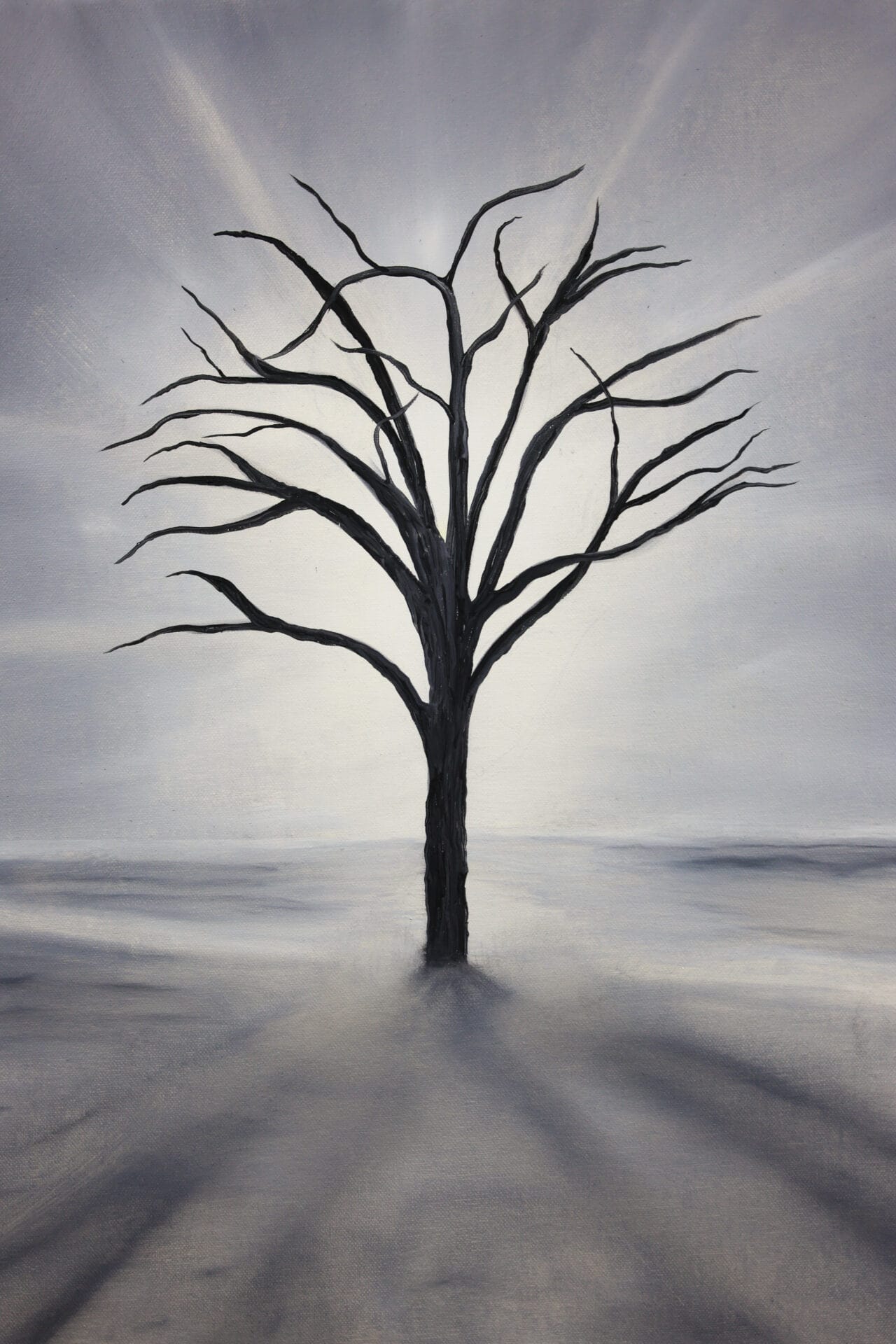 <em>Harmonia</em> SUBTIL